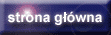 Strona gwna